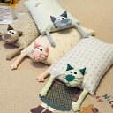 枕 枕カバー付き シングルサイズ 綿 蕎麦殻 通気性 吸湿性 学生 子供 大人用 ピンク系 ブルー系 グリーン系