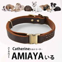 犬 首輪 リード 小型犬 中型犬 大型犬 牛革 レザー 迷子札 刻印 コーヒー色 犬用 牽引ロープ 散歩 お出かけ おしゃれ かわいい ペット用品