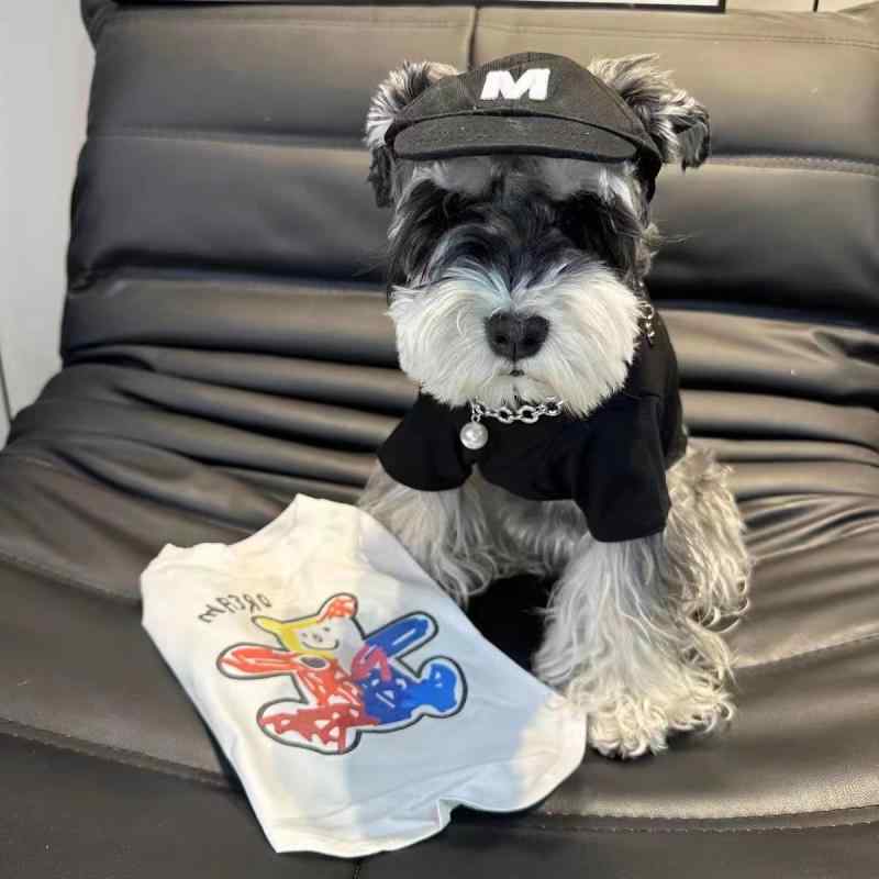 ペット服 春夏 Tシャツ 小型犬 中型犬 ポリエステル カジュアル ブラック 彩熊 ホワイト 彩熊