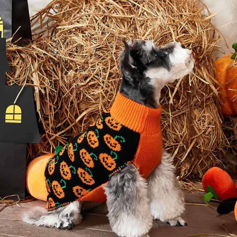 ペット用 ニット オレンジ パンプキン柄 セーター 小型犬 中型犬 かわいい ハロウィン コスチューム 犬服 猫服 普段使い 伸縮性(x2)