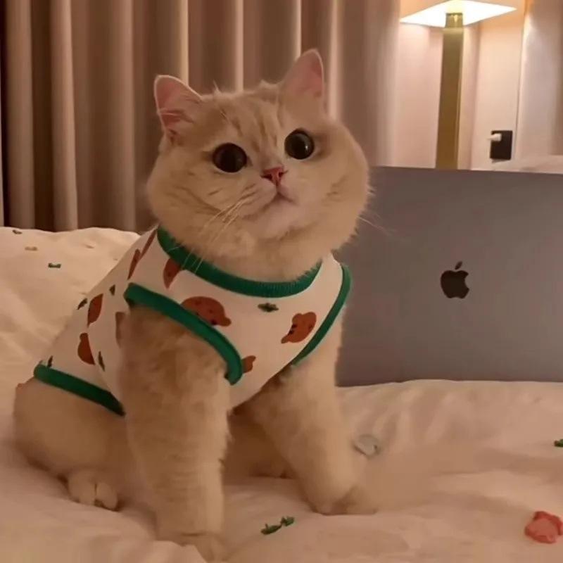 ペット服 小型犬 猫用 猫柄 ドッグウェア 背抜け防止 薄手 春夏 イエロー グリーン XS S M L XL XXL