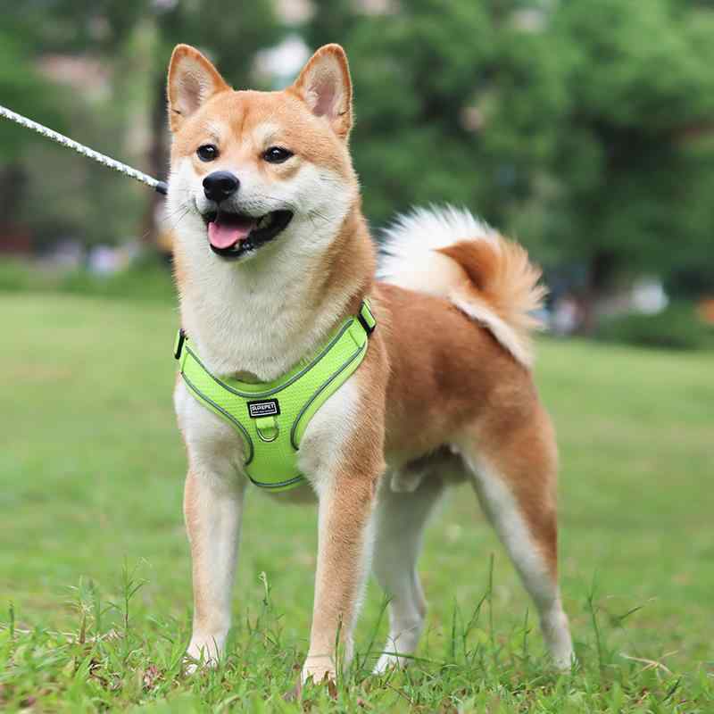 ペット用ハーネス &amp; リード ワッフル生地 高弾性 通気性 犬用 胴輪 ピンク イエロー グリーン グレ..