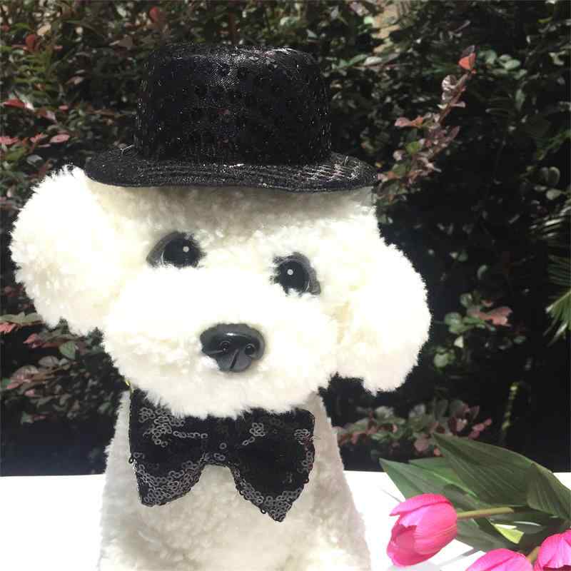 ペット帽子犬猫用 黒 スパンコール付き 礼装帽子 蝶ネクタイ セット 四季(x3)