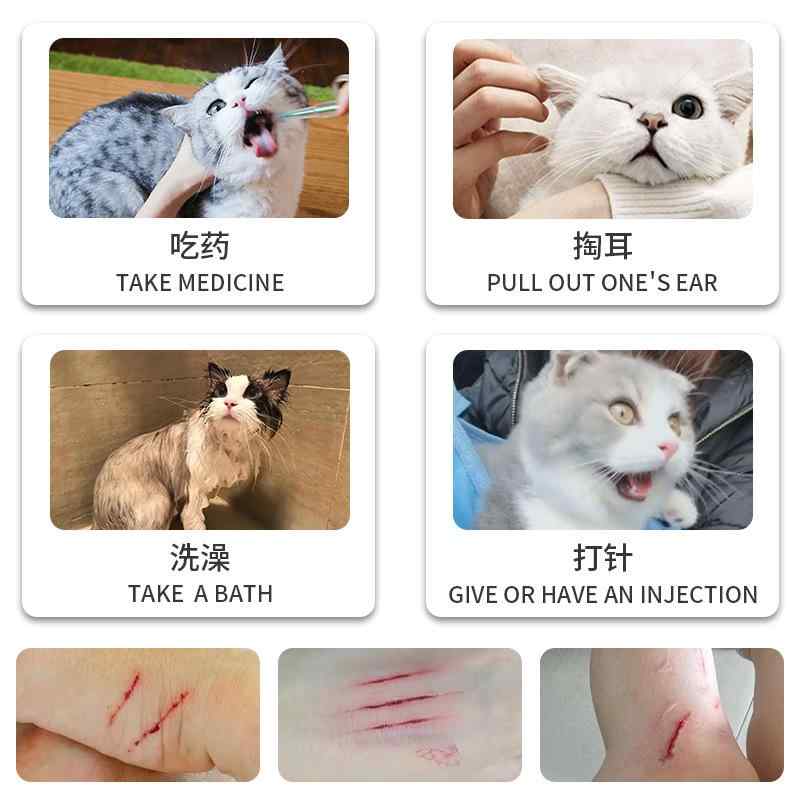 手袋 猫 レディース ペット用 シャンプー グルーミング ケア 4個セット 調整可能 かわいい 猫用靴下(x2)