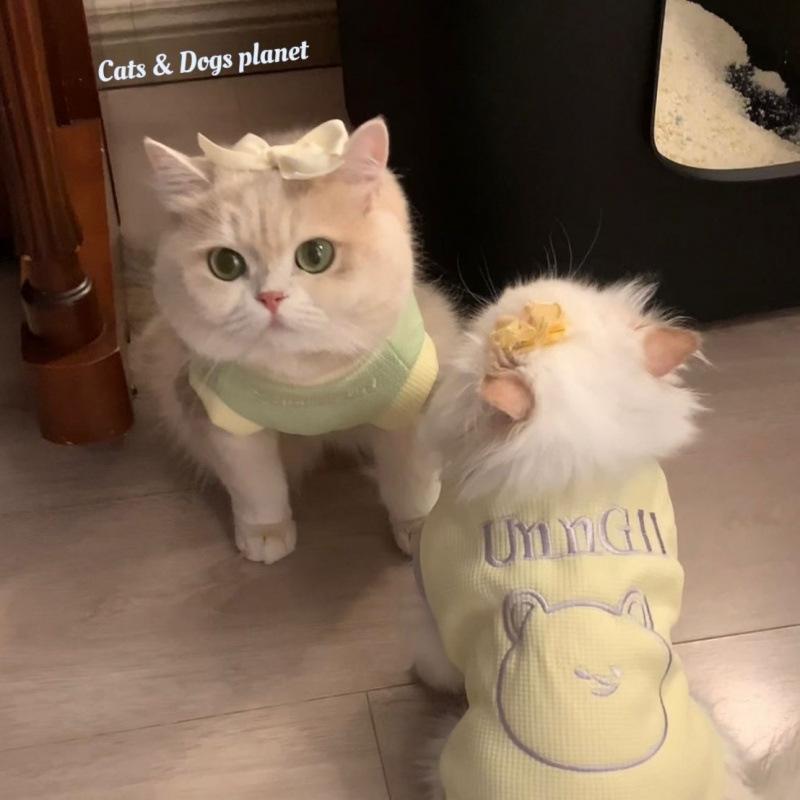 ペット服 秋冬 防寒着 あったか 加厚 小型犬 ビションフリーゼ ブルー イエローのサムネイル