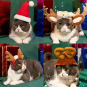 ペット用帽子猫 小型犬 クリスマス 誕生日 バースデー コスプレ ウサギ うさ耳 鹿 トナカイ かわいい ニット 暖かい 被り物 アクセサリー
