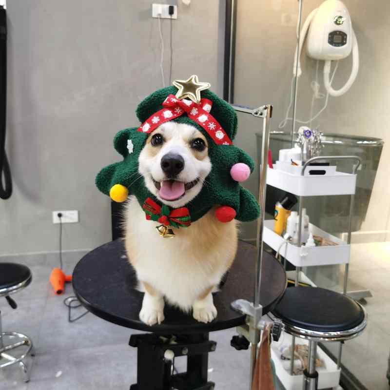 ペット用 クリスマス帽子 小型犬 猫 冬 帽子 クリスマスツリー コスプレ かわいい 撮影用