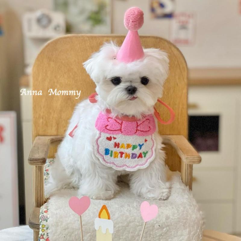 猫 犬 用 バンダナ 帽子 ペット 誕生 日 飾り付け 小型犬 中型犬 かわいい ぬいぐるみ 素材 イエロー ..