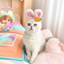 ペット用 帽子 うさぎ耳付き 花柄 ニンジン 春秋 保温 ぬいぐるみ テディ 猫 犬 小型犬 正月 元旦