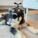 犬用ヘルメット 犬用帽子 サングラス付き イヤーホール付き 防風 猫用ヘルメット オートバイ テディベア風ヘルメット 小型犬 中型犬 秋
