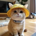 犬 猫 帽子 かわいい 耳出し ペット用 日よけ 紫外線対策 テディ ビションフリーゼ コーギー 漁夫帽 コットン製 レジャー 散歩(x2)