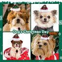 ペット 帽子犬猫用 誕生日 王冠 レース パール 赤 緑 キラキラ 飾り 調節可能 ヘッドドレス ペット用帽子(x2)