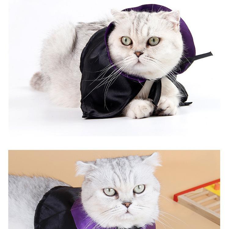 ペット用帽子 ＆ ケープ ハロウィン クリスマス コスプレ 猫 犬 かわいい パープル ブラック(x3)
