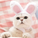 猫 帽子犬 テディ ビション ぬいぐるみ キャップ ウサギ耳 バニー 子猫 ヘッドドレス 風 かわいい おしゃれ
