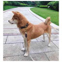 首輪 小型犬用 ペット用 犬 牛革 ナイロン 柔らかい 犬用首輪 犬用リード テディ ゴールデンレトリバー 散歩 訓練 ブラック ブラウン 幅広 レザー (x2)