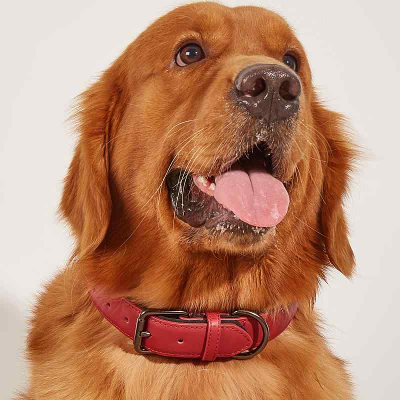 首輪 小型犬 中型犬用 ペット用品 牛革製 犬 首輪 散歩用 レザー 防水 調整可能 コーヒー色 ブルー ブ..