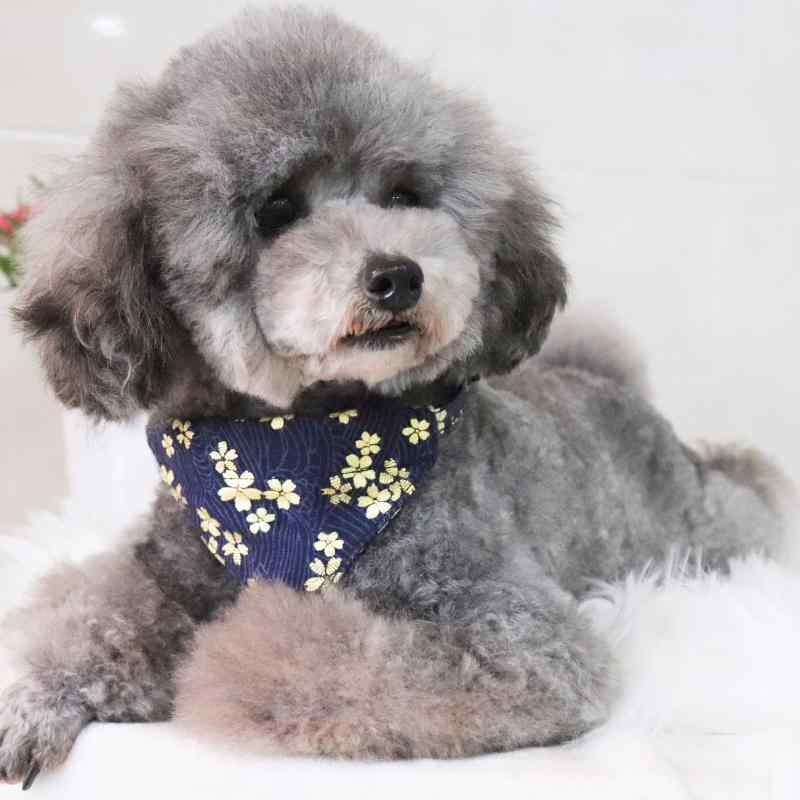 首輪 猫 レディース 和風 三角巾 ナイロン ペット用品 犬 調節可能(x5)