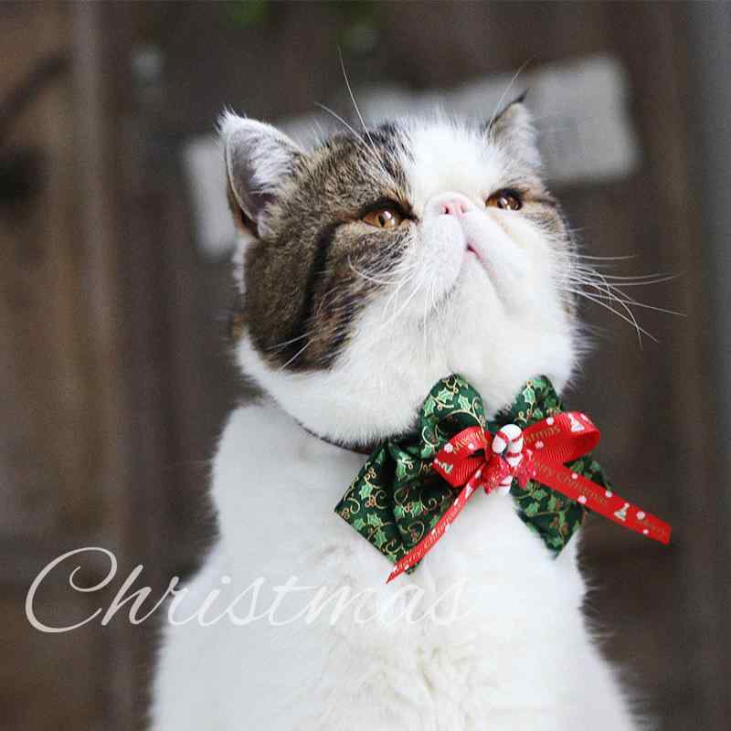 首輪 ペット用 クリスマス 猫 犬 蝶ネクタイ 鈴付き アクセサリー XS S M L(x2)