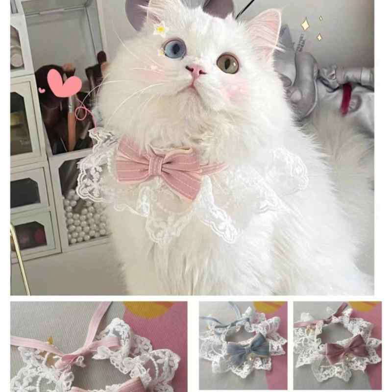 首輪 猫 小型犬 中型犬 大型犬 レース スカーフ ペット用アクセサリー