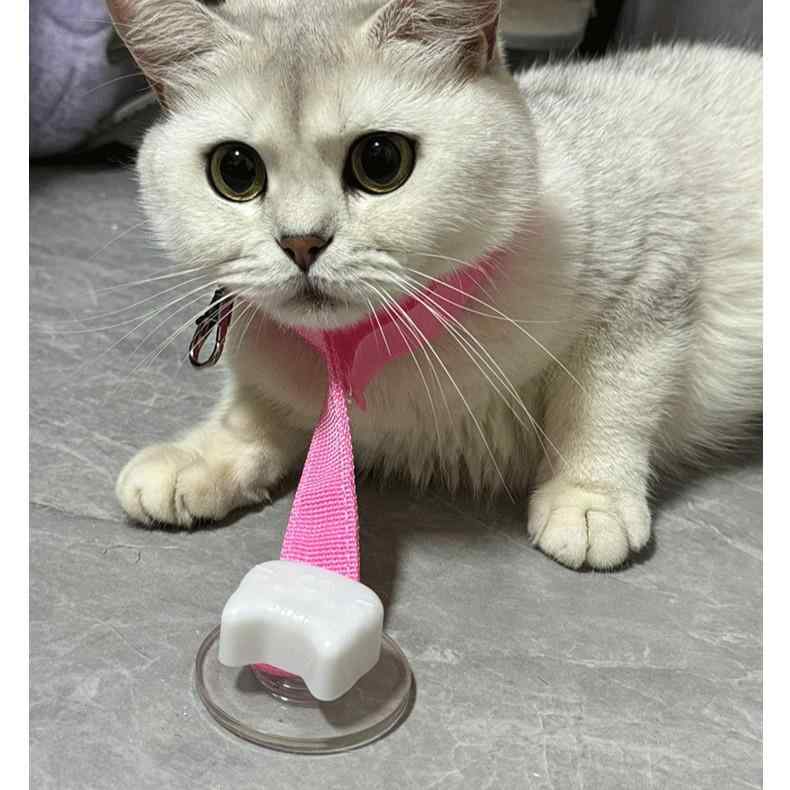 ペット用 シャワー 固定具 調節可能 犬 猫 シャンプー トリミング 暴れ防止 吸盤式 オックスフォード布..