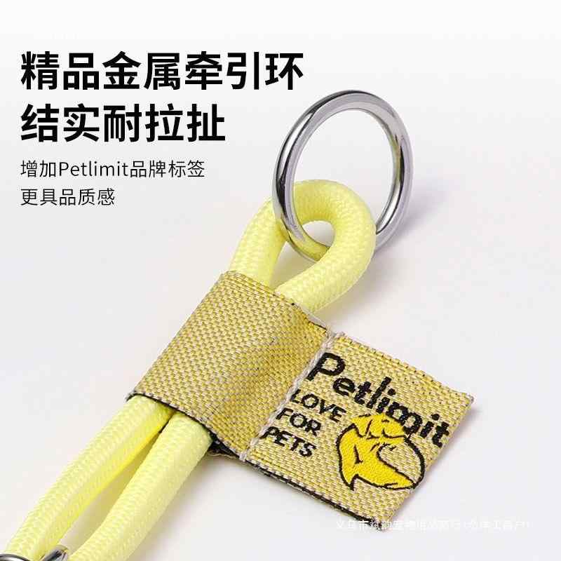 犬 首輪 ハーフチョーク リード 小型犬 中型犬 散歩 絡まない 紫 パープル