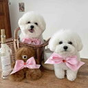 ペット用ヘアアクセサリー 首輪 猫 犬 チョーカー 蝶ネクタイ 無地 薄荷緑 香芋紫 珊瑚粉 暗夜黒 薔薇紅 檸檬黄 バービーピンク かわいい おしゃれ 写真撮...