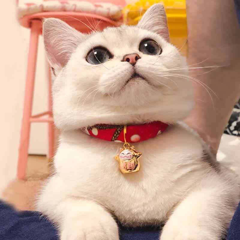 猫用品 レディース 猫 首輪 和風 猫柄 花柄 鈴付き かわいい 猫 首輪 XS S M L レッド ブルー ブラック..