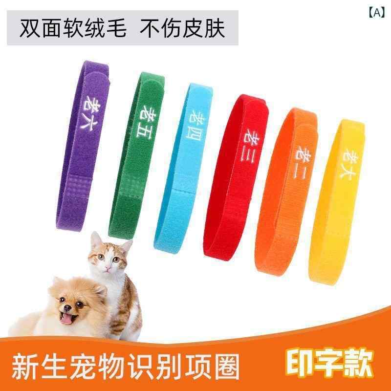 首輪 ペット用 識別用 幼猫 子犬 区分バンド 6色セット 汎用 ポリエステル S M L テディ 金毛 中大型犬 記号 記録 通年(x2)