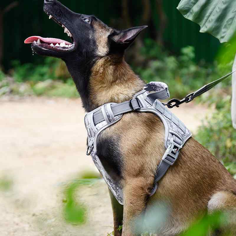 首輪 胴輪 リード 大型犬用 迷彩柄 ハーネス K9 訓練 戦術 ドッグベスト 散歩 ナイロン製 ブラック グレー グレー ブラウン 茶色 グリーン 緑