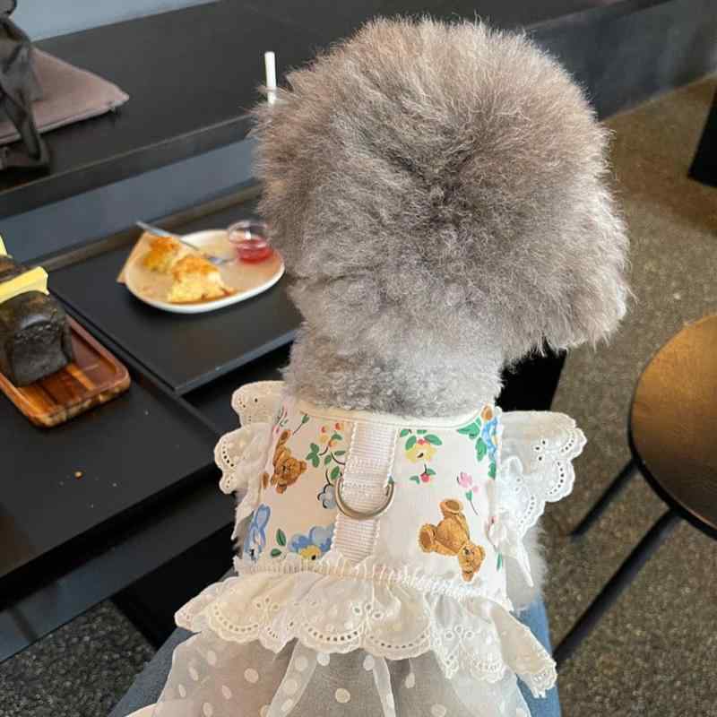 ハーネス 小型犬用 メッシュ 通気性 牽引ロープ マルチーズ ポリエステル ブルー 花柄 S M L(x2)