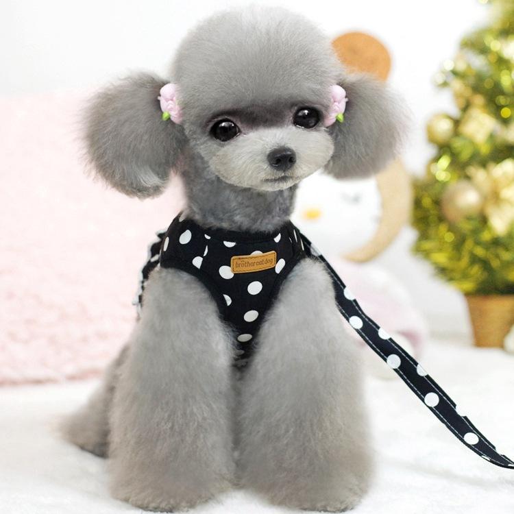 ハーネス 小型犬用 かわいい 水玉模様 ペット 胴輪 リード テディ ビション 貴賓 狗 ナイロン 黒 玫紅