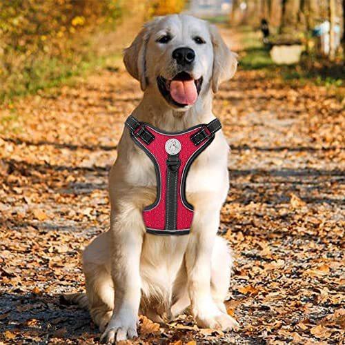 犬用ハーネス リード セット 大型犬 衝撃吸収 反射素材 ペット用 胴輪 牽引ロープ XS S M L XL 黒 青 赤 紫 ピンク 南米 東南アジア 北米