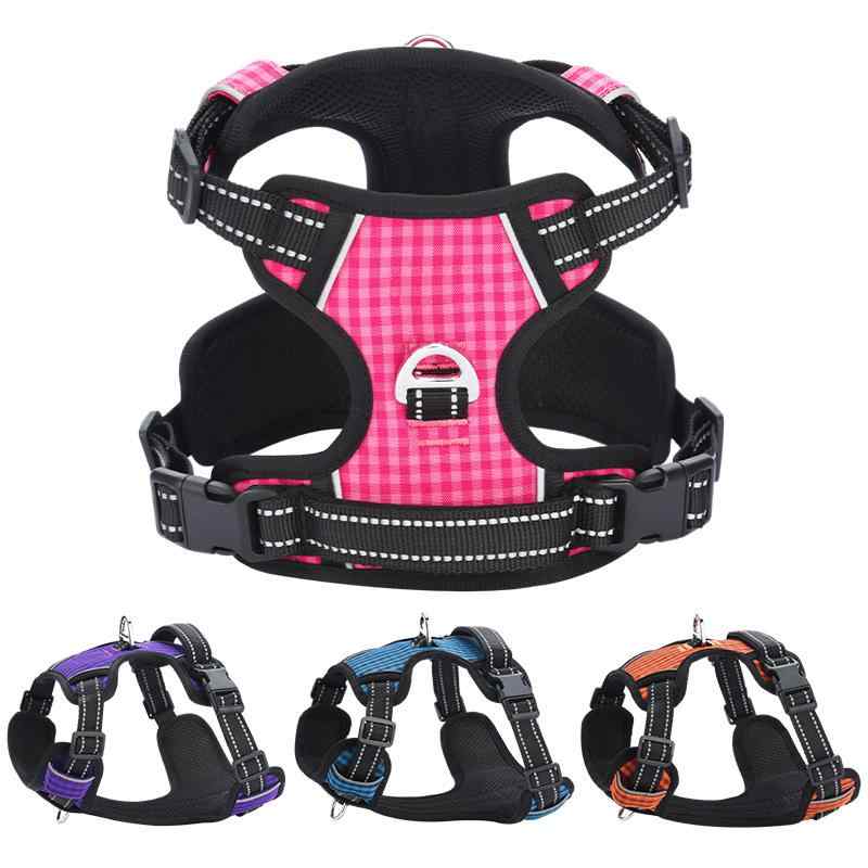 ϡͥ  ǥ  ڥå  ٥ ƹ 淿  緿 ʥ  ̲ǽ å    ԥ(x5)