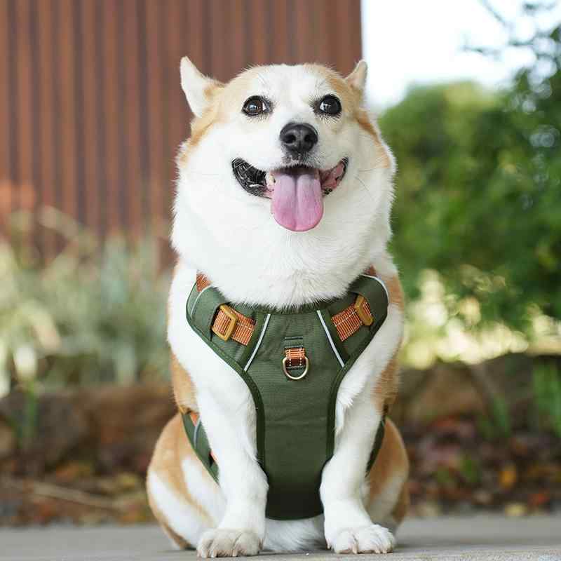 犬具 春夏 ペット用 牽引ロープ ハーネス 胴輪 通気性 防水 防汚 小型犬 猫 散歩 調整可能 ポリエステル製 ブラウン グリーン ブルー(x10)