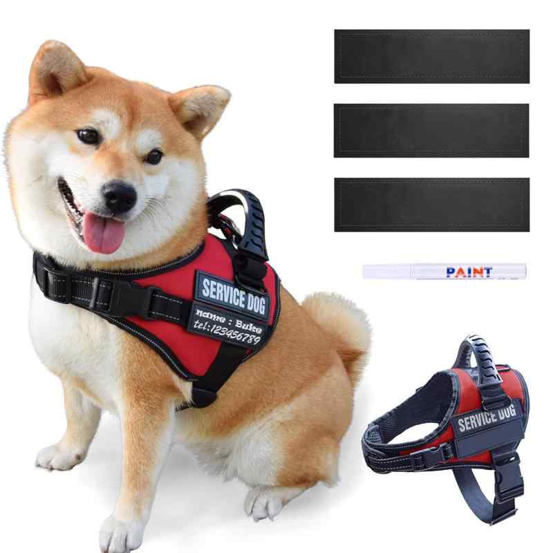 ハーネス 犬用 ゴールデンレトリバー ラブラドール 伸縮リード 布製 赤 青 緑 紫色 小型犬 中型犬 大型犬(x10)