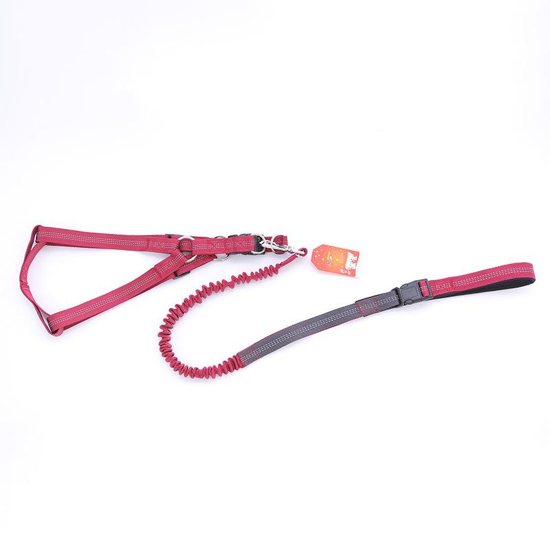 犬用 リード 伸縮リード 牽引ロープ テディ犬 散歩 伸縮性 ランニング ジョギング トレーニング ナイロン 25mm 1300mm(x2)