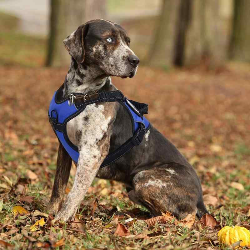 楽天YKsakai胸当て 胴輪 犬 リード 反射材 通気性 ドッグ 小型犬 中型犬 大型犬 ペット用品 ブルー ブラック レッド パープル ピンク グレー XS S M L XL XXL（x100）