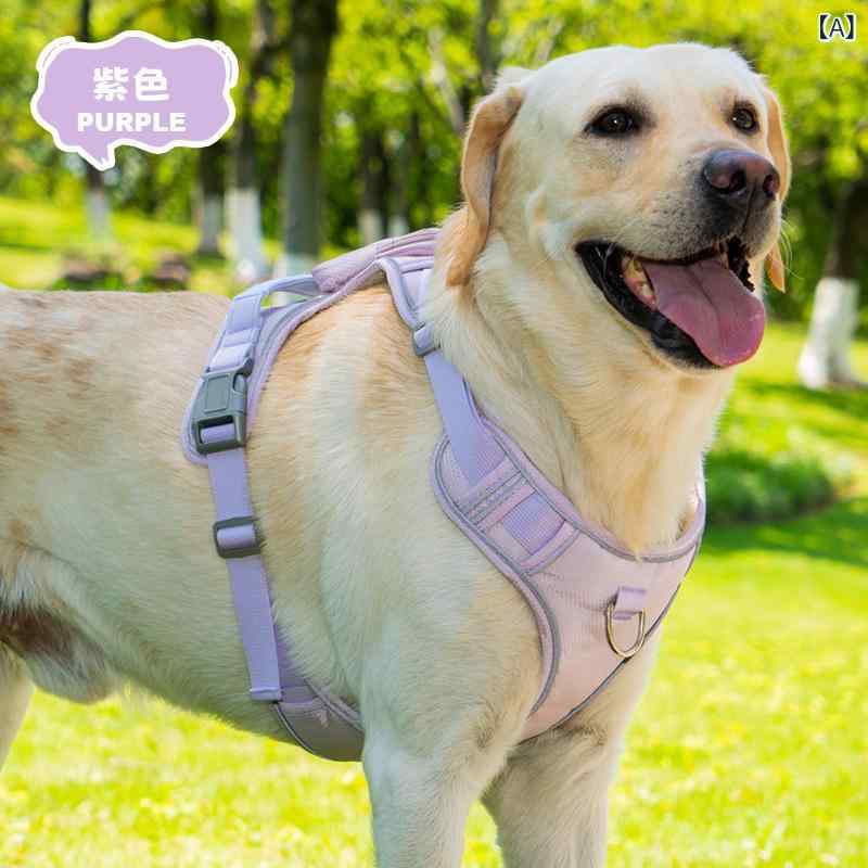 ペット ハーネス リード セット 犬用 胴輪 反射材付き 散歩バッグ ナイロン パープル グリーン ピンク ブルー 小型犬 中型犬 大型犬