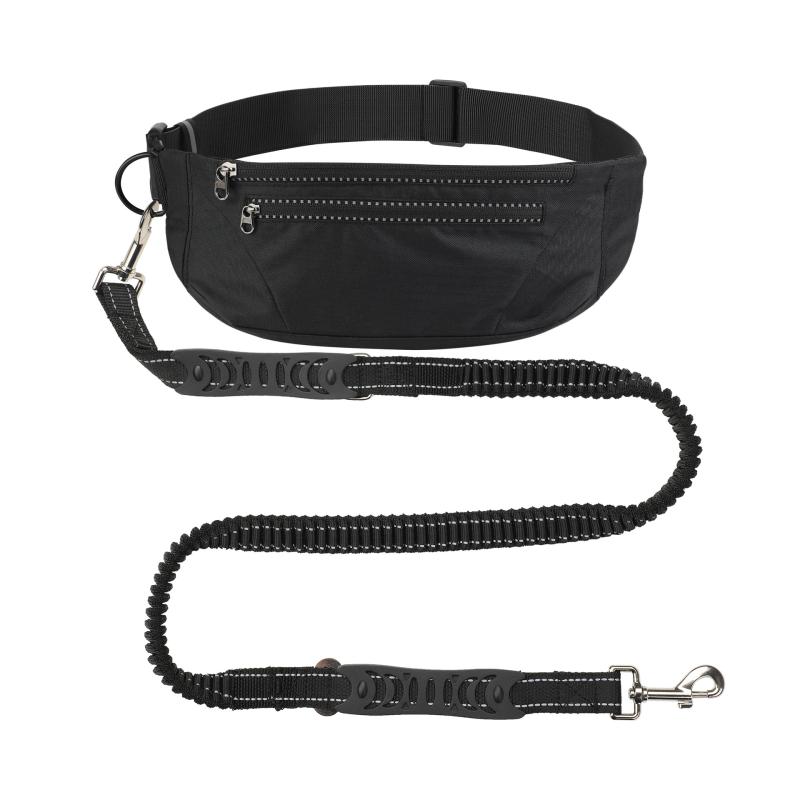 犬 リード 伸縮式 散歩用リード 反射素材 ナイロン製 犬用 牽引ロープ ペット用 伸縮リード ベルト(x2)