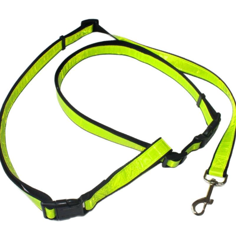 犬用リード ペット用リード ランニング ジョギング 伸縮リード 反射材 牽引ロープ 散歩用 120cm グリーン(x20)