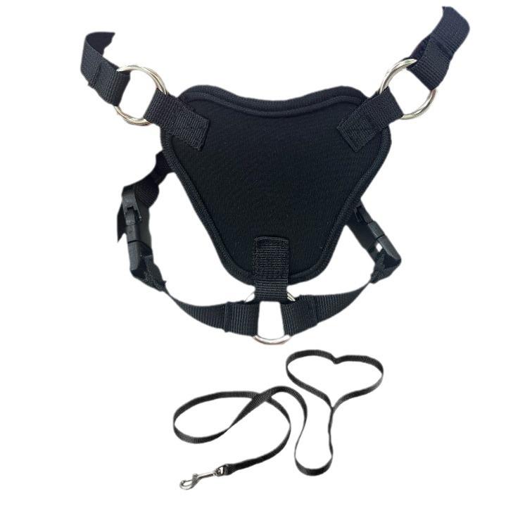 ǭ ꡼ ǭ ƹ ͵ ̵ ڥå ϡͥ ǭѥ꡼   ֥å ʥ(x10)