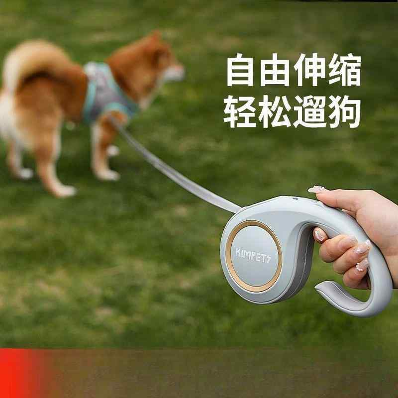 首輪とリード 犬用伸縮リード 牽引ロープ 小型犬 中型犬 テディ ポメラニアン コーギー ペット用品 ナイロン製 伸縮可能 5m グリーン ホワイト ブラウン ブルー