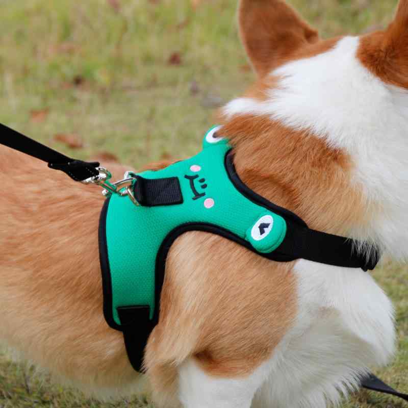 ハーネス 小型犬用 胴輪 リード セット 犬用 ベスト 牽引ロープ XS S M ナイロン かわいい 牛柄 カエル柄 南米 東南アジア 北米 アジア(x5)