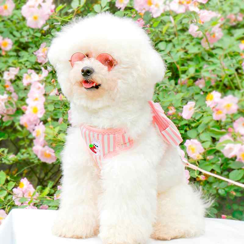 ハーネス 小型犬 テディ ビション ポメラニアン 牽引ロープ リード ドッグラン お散歩 布製 イエロー ブルー レッド ピンク グリーン S M(x2)