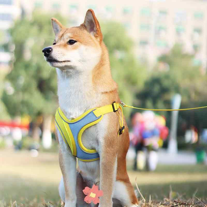 ハーネス 犬用 メッシュ 通気性 胴輪 ベスト型 反射材 ドッグリーシュ 小型犬 中型犬 散歩 お出かけ イエロー ブルー ピンク