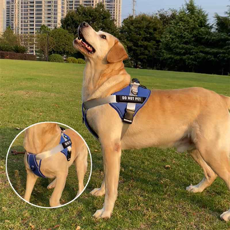 犬 ハーネス リード セット 小型犬 中型犬 大型犬 メッシュ 胴輪 夜間反射 快適 散歩用 牽引ロープ ポリエステル 黒 赤 ピンク 青