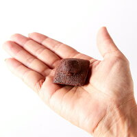 プチチョコフィナンシェ50個