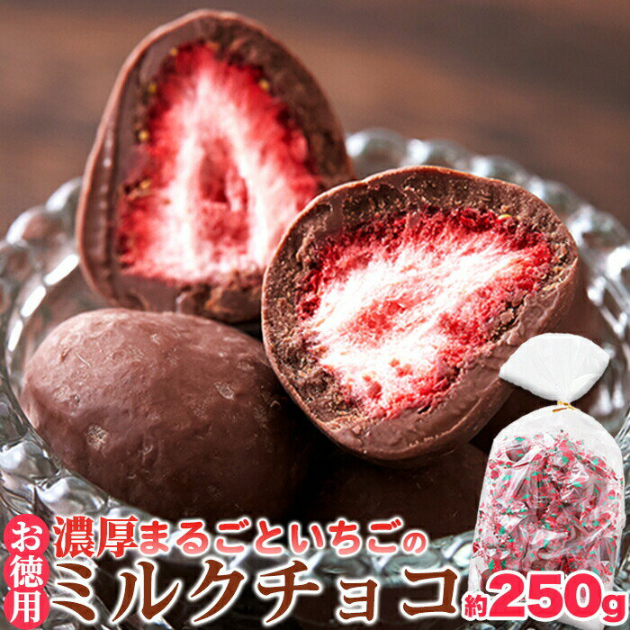 【お徳用】濃厚まるごといちごのミルクチョコ250g（黒） 送料無料 バレンタイン 義理チョコ バレンタインデー ホワイトデー チョコレート 母の日のサムネイル
