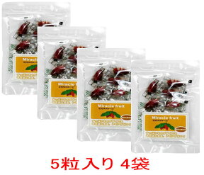 ミラクルフルーツ （5粒入り×4袋）メール便 送料無料