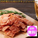 国産 鶏むね肉のジュワ旨チキンジャーキー【業務用】115g x5個セット 送料無料